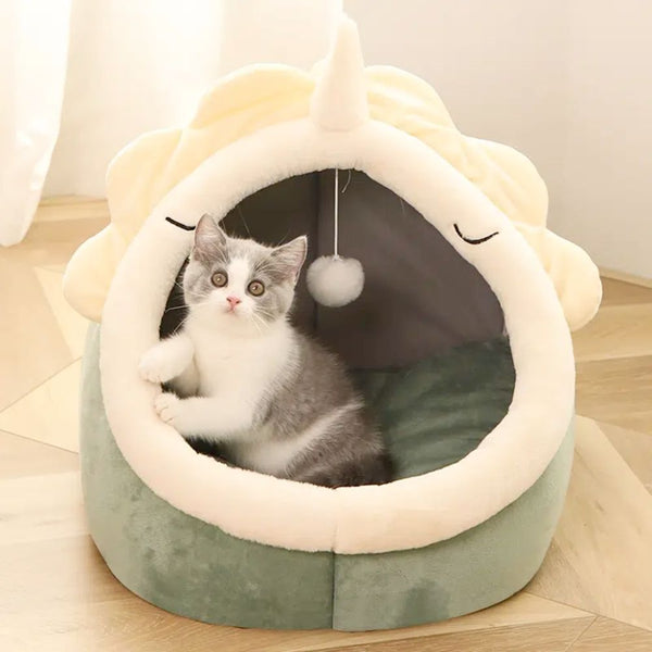 Boutique Comfort
