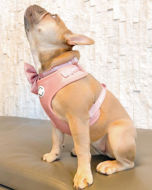 The Vela Coco Rosé: Signature Adjustable Harness