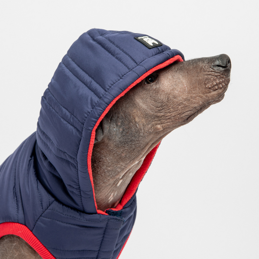 The Vela Noah: Quilted Technical Winter Coat with Harness Access