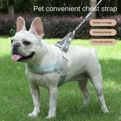 The Vela Night-Safe: Y-Shaped Reflective Safety Harness