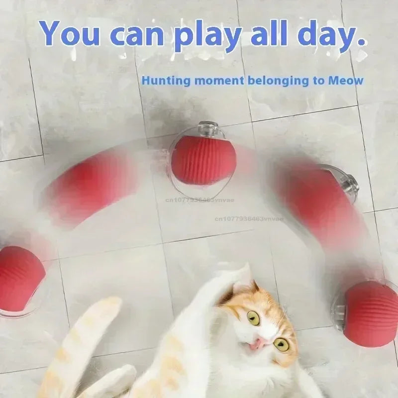 The Vela Active-Chase: Smart Interactive Cat Ball