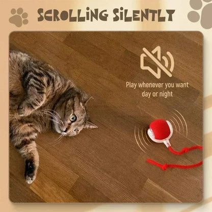 The Vela Active-Chase: Smart Interactive Cat Ball