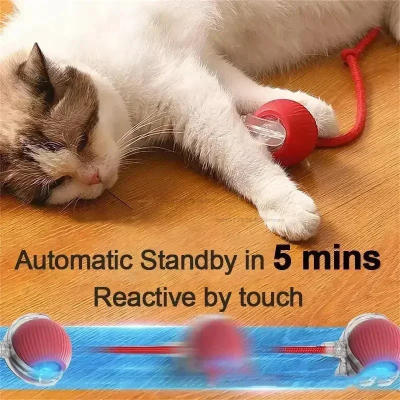 The Vela Active-Chase: Smart Interactive Cat Ball