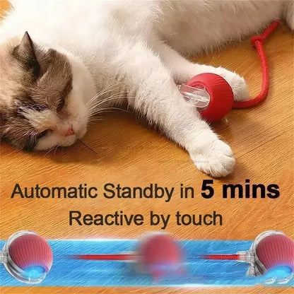 The Vela Active-Chase: Smart Interactive Cat Ball