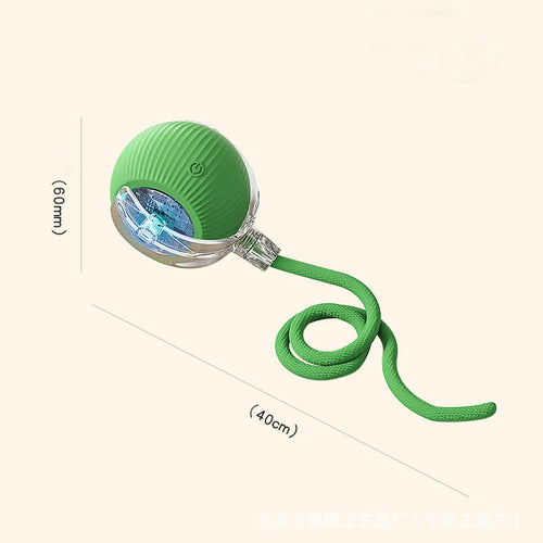 The Vela Orbit-Ball: Smart Self-Rolling Interactive Toy