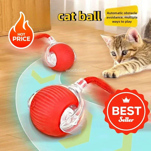 The Vela Active-Chase: Smart Interactive Cat Ball