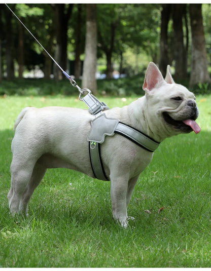 The Vela Night-Safe: Y-Shaped Reflective Safety Harness