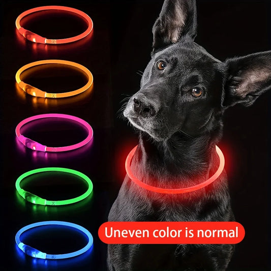 The Vela Glo-Neck: USB Rechargeable LED Safety Collar