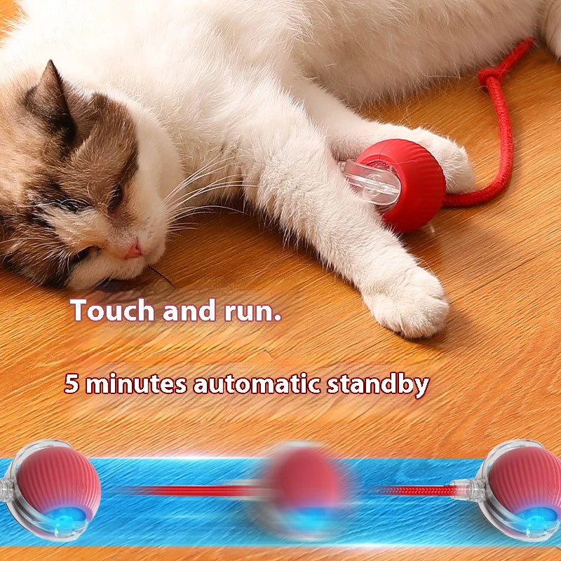The Vela Orbit-Ball: Smart Self-Rolling Interactive Toy