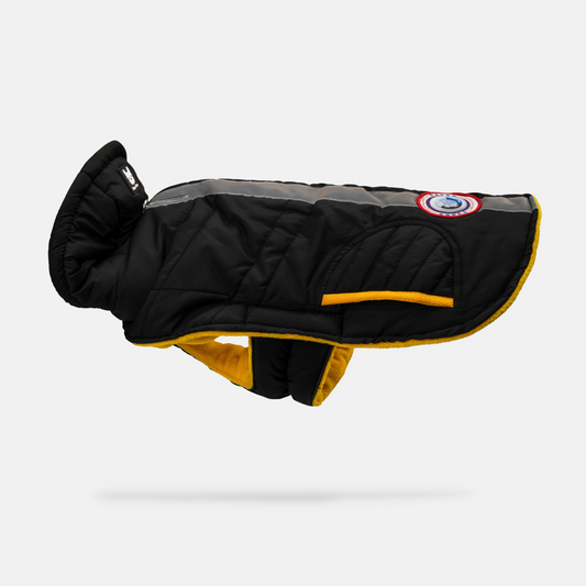 The Vela Jackson: Cold-Alert Technical Dog Jacket.