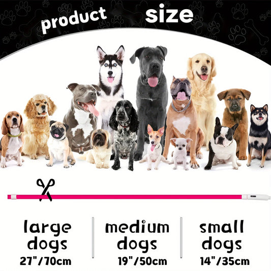 The Vela Glo-Neck: USB Rechargeable LED Safety Collar