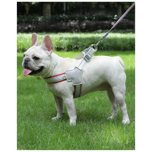 The Vela Night-Safe: Y-Shaped Reflective Safety Harness