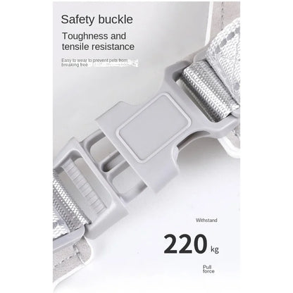 The Vela Night-Safe: Y-Shaped Reflective Safety Harness