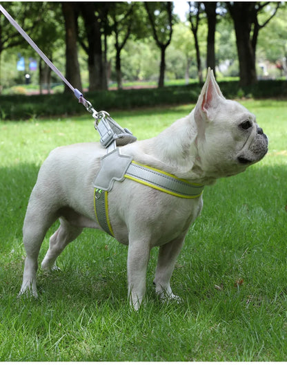 The Vela Night-Safe: Y-Shaped Reflective Safety Harness