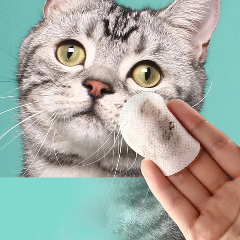 The Vela Pure-Sight: Gentle Eye Grooming Wipes