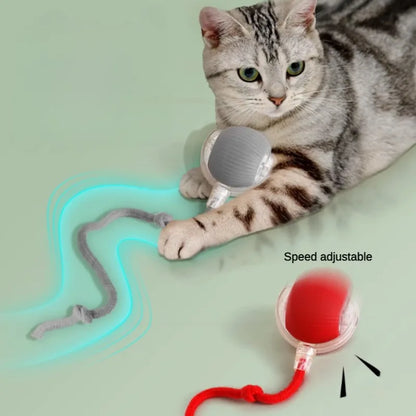 The Vela Orbit-Ball: Smart Self-Rolling Interactive Toy
