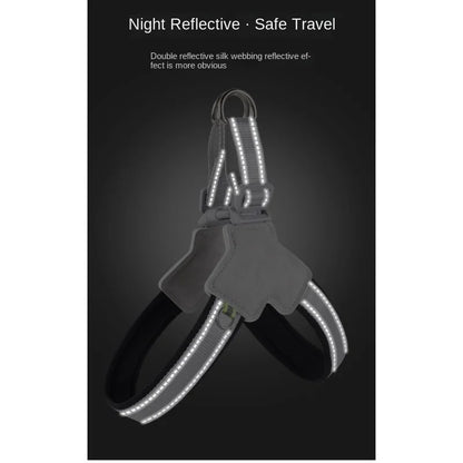 The Vela Night-Safe: Y-Shaped Reflective Safety Harness
