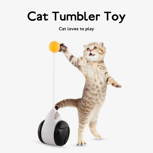 The Vela Balance-Bolt: 2-in-1 Tumbler & Turntable Cat Toy