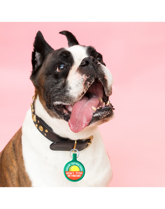 The Vela Vivid-ID: Ecoplastic Personalized Pet Tag