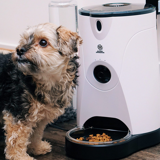 The Vela Smart-Sync WiFi Feeder & Camera (GRAMMYs® Edition)
