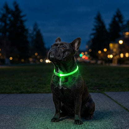 The Vela Glo-Neck: USB Rechargeable LED Safety Collar
