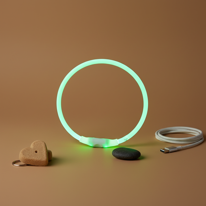 The Vela Glo-Neck: USB Rechargeable LED Safety Collar