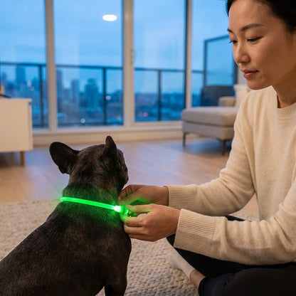 The Vela Glo-Neck: USB Rechargeable LED Safety Collar