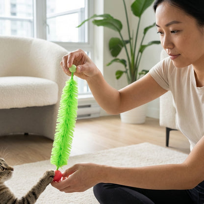 The Vela Spring-Worm: Interactive Bouncing Cat Toy